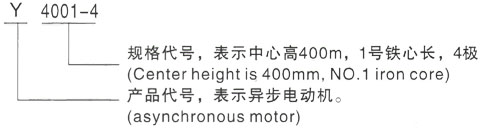 西安泰富西玛Y系列(H355-1000)高压YE2-160M2-8三相异步电机型号说明