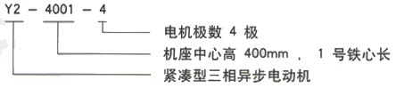 YR系列(H355-1000)高压YE2-160M2-8三相异步电机西安西玛电机型号说明